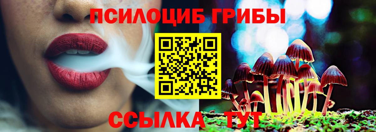 Галлюциногенные грибы Psilocybe  Вход с VPN  Дюртюли 